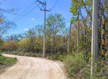 Terreno / Lote · 12000m² · Terreno en Telchac