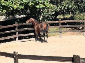 Casa · 75000ha · 3 Recámaras · 6 Estacionamientos · Rancho en Venta Mocochá, Yucatan. Equipado