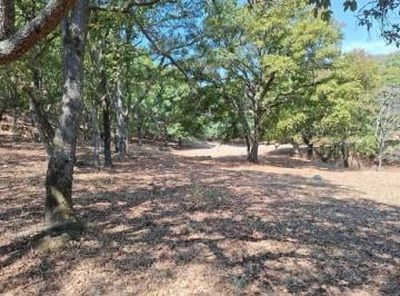 Terreno / Lote · 1987m² · Venta Terreno Fraccionamiento Campestre Lote 95, Mzn VI