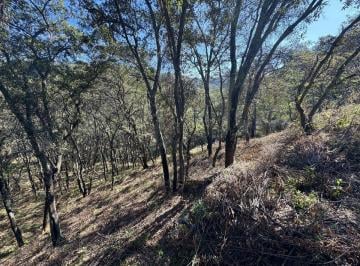 Terreno / Lote · 1893m² · Venta de Terreno en Fracc. Campestre Lt. 87 Mz 11, Villa del Carbón