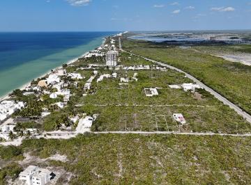 Terreno / Lote , Dzemul · Oportunidad Venta de Terreno en Playa de San Benito a 160 m de Orilla de Mar