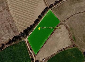 Terreno / Lote · 10000m² · Terrenoventa de Parcela de 1 Hectárea en Tequisquiapan – Zona Residencial Viñedos