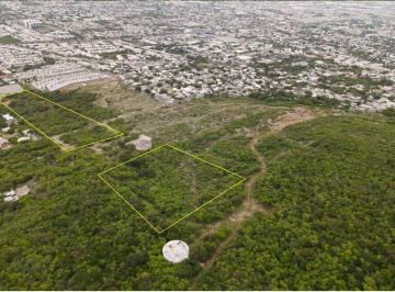Terreno / Lote , Guadalupe · Terreno Guadalupe, N. l en Venta