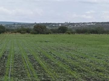 Terreno / Lote , El Marqués · Macrolote en Venta en Amazcala