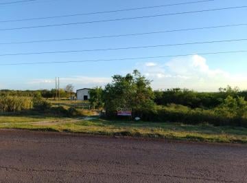 Terreno / Lote · Terreno en Pánuco