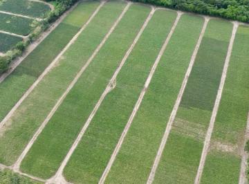 Terreno / Lote · 171000m² · Terreno en Pueblo Paso del Toro