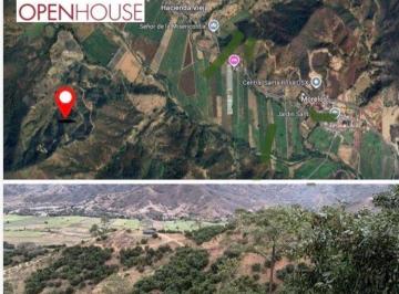 Rancho · 100m² · 1 Recámara · Huerta Aguacatera en Producción $15’000,000
