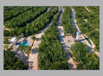 Terreno en Senderos de Mayakoba · Terreno en Venta | Senderos Mayakoba | 169 M²| Playa del Carmen