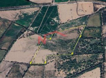 Foto principal · Terreno en Venta en Camino Sel Seri Km 2
