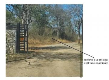1 · Terreno en Venta en Valle Venado Safari, Montemorelos