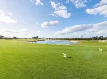 12ac1db6be25f452bba948facd54fd7905f8f5120fba493f95f8bea1e9f2a7a4 · En Venta Terreno en Segunda Etapa en Provincia - Golf Club, Mérida, Yucatán