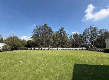 Terreno / Lote , Miguel Hidalgo · Venta Terreno en Bosques de Las Lomas