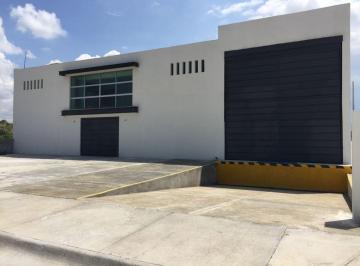 Nave industrial , Silao · Nave Industrial de 1000 m² en Renta en San Ignacio Park