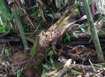 Terreno / Lote , Cuetzalan del Progreso · Terreno en Venta Cuetzalan del Progreso