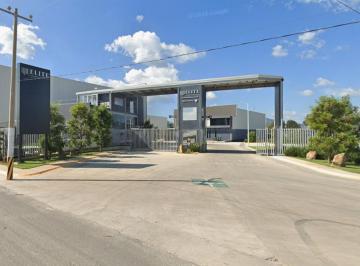 Nave industrial , Zapopan · Nave Industrial en Renta Zapopan Norte
