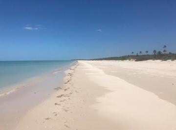 55d7f468e37373813a9a4cc1725347424ff4257419074045bd74ed856a7fc276 · Terreno en Venta Frente Al Mar en Sisal, Yucatán.