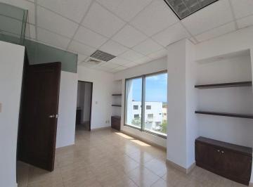 d9cc4fa50140fd8fec387789343e2906cf9ade93d13098dc023602e57619a9b9 · Renta Oficina 140 m con Terraza en Cancun