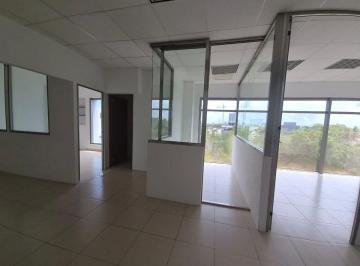 dd5eb5f58a8f4cd9620e5e8e262ed84f6094d3294fc75413ed623f8ab776e714 · Renta de Oficina 76 m Centro de Cancun