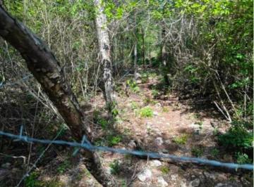 Terreno / Lote , Mérida · Terreno en Venta a un Costado de La Privada La Rejoyada