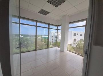 3b012bde4a2d929cd6a3de068fd69bb5925dccf0a8508fc4b4ac8e81334baafc · Renta Oficina Corporativa 180 m en Cancun