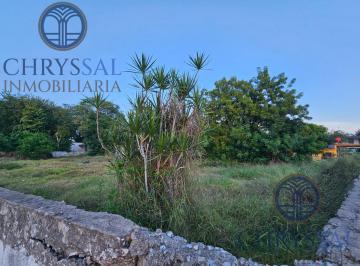 Terreno / Lote · 1125m² · Terreno en Renta en Altamira – 1,125 m²