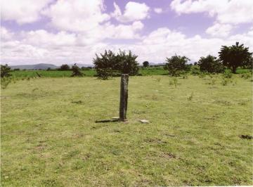Terreno / Lote , Atlixco · Terreno en Venta Tenextepec Atlixco