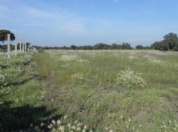 Foto 1 · Terreno en Venta en Col. Huitzila, Municipio de Tizayuca, Hidalgo.