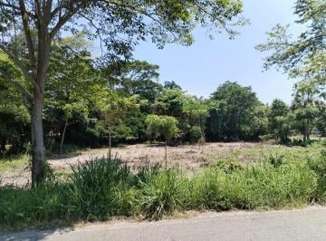 Terreno / Lote , Centro · Terreno en Venta de 3 Hectáreas Sobre Carr Buena Vista, Villahermosa, Tabasco