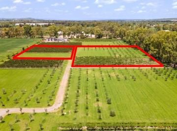 Terreno / Lote · Terreno en San Miguel de Allende