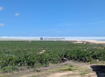 332936.jpg · Terreno Comercial en Venta en El Rincón de La Playa