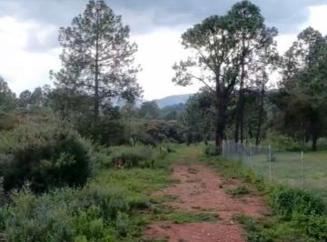 Terreno / Lote , Tapalpa · Terreno en Venta en Tapalpa Jalisco