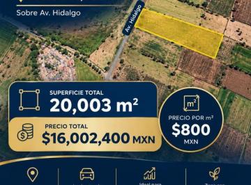 Terreno / Lote , Zapotlán de Juárez · Terreno en Venta en Hidalgo, Zapotlán