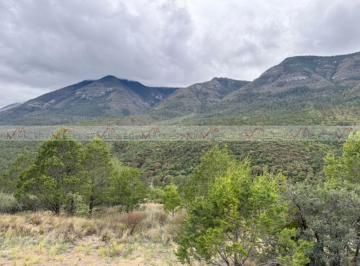 Terreno / Lote · 300000m² · Terreno / Lote en Venta en Arteaga Jame