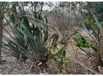 Terreno / Lote en Venta  Barrio Candelaria · Venta de Terrenos en Candelaria Urge