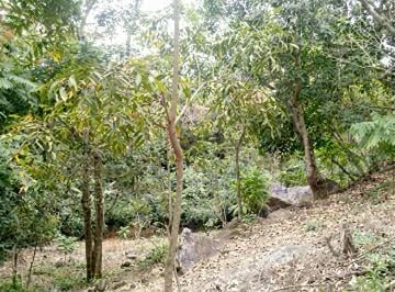 Terreno / Lote · 8000m² · Terreno en Venta, en Cofradía de Suchitlán, Comala, Colima