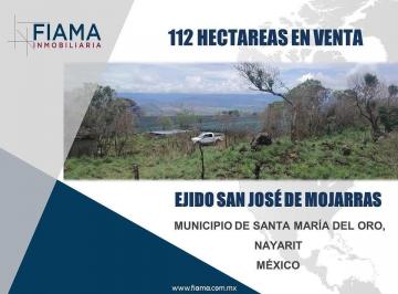 1 · 112 Hectáreas en Venta en Ejido San José de Mojarras, Municipio de Samao, Nay.