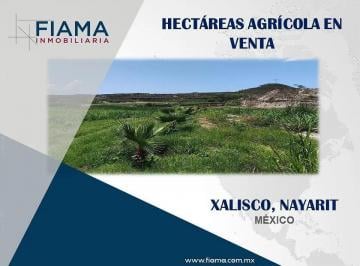 1 · Hectáreas Agrícolas en Venta, Xalisco, Nayarit. (En)