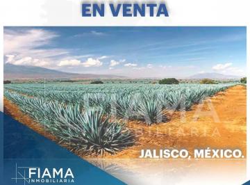 1 · Fabrica Tequilera en Venta, jalisco.
