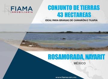 1 · Conjunto de Tierras 43 Ha, Rosamorada, Nayarit.