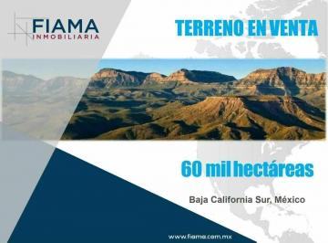 1 · Ha en Venta en B. C. s. México