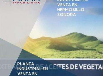 1 · Planta Industrial en Venta en Sonora (Ver. Disp)