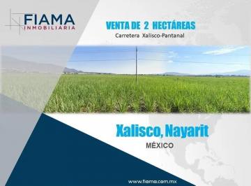 1 · 2 Has en Venta en Carr. Xalisco - Pantanal (Ver. Disp)