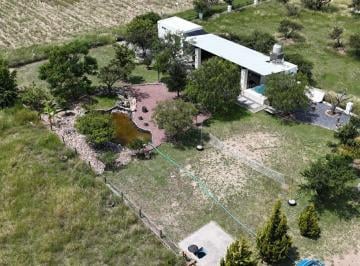 Terreno / Lote , Aguascalientes · Rmc - Palapa en Venta con Terreno de 1,131 m² - Los Huizachez