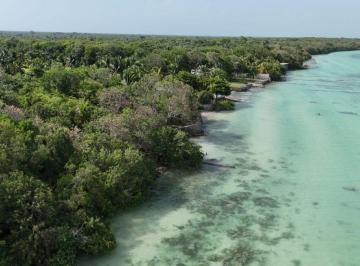 Terreno / Lote , Chetumal · Terreno en Venta en Chetumal - en Frente a La Bahia—luis Echeverria - Precio a Tratar - Pagos en 24 Plazos