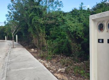 Terreno / Lote , Mérida · Terreno Residencial en Mérida Priv Aire Puro