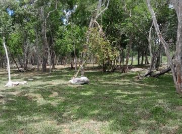 Terreno / Lote · 350m² · 2 Estacionamientos · Terreno - Mérida