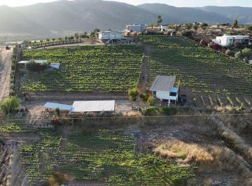 871028bf46d919f975edc99d24d408d9330dbec583f257e2d2cddc07ffb0d29c · Casas con Viñedo en Venta 9,466 m² en Valle de Guadalupe