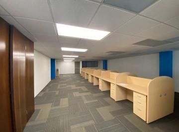 Oficina , San Pedro Garza García · Oficina Equipada en Renta 215 m² – San Pedro Garza García