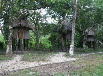 Terreno / Lote , Palenque · Terreno 15000 m² con Ojo de Agua y Cabaña