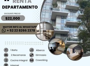 Departamento de 2 habitaciones, Cuauhtémoc · Espectacular Departamento en El Corazón de La Condesa